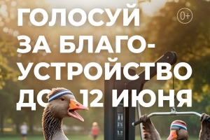 Голосуйте за общественные территории и дизайн‑проекты благоустройства