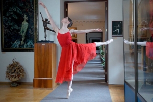 Застывший полёт. Алла Шелест. Немузейные истории